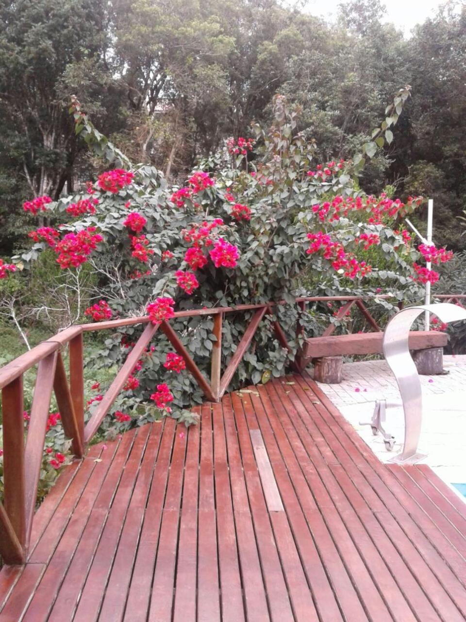 Chacara Recanto Vale Do Luar Piraquara Ngoại thất bức ảnh
